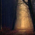 身份認同驅動的改變：從「我想做」到「我就是」的心理轉換