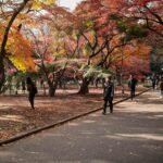 日本的季節美學：從春櫻到秋楓，如何用攝影記錄生活質感