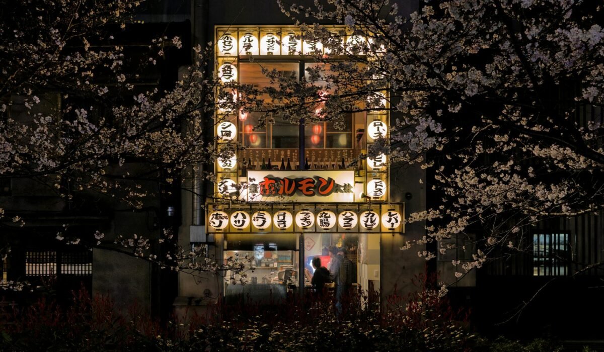 kyoto cherry blossom spring journey 2026